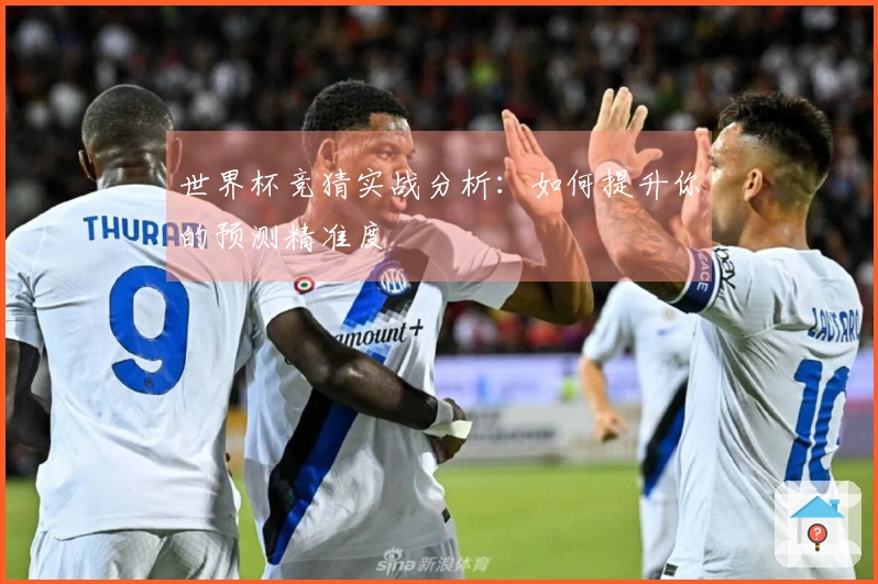 世界杯竞猜实战分析：如何提升你的预测精准度