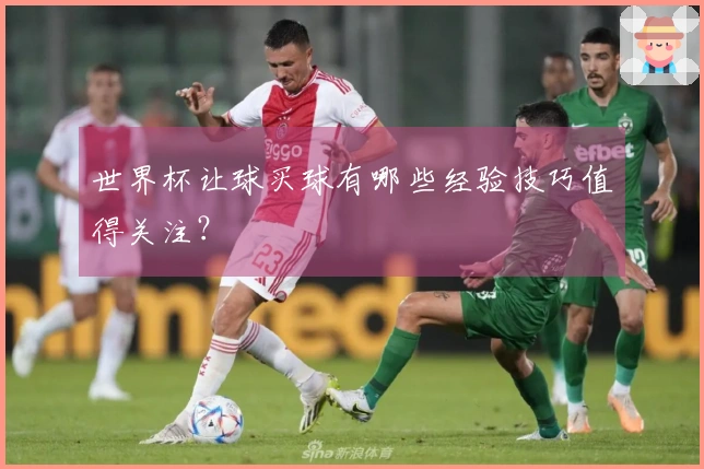 世界杯让球买球有哪些经验技巧值得关注？