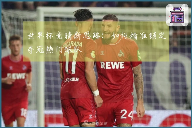 世界杯竞猜新思路：如何精准锁定夺冠热门球队