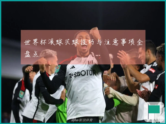 世界杯滚球买球技巧与注意事项全盘点